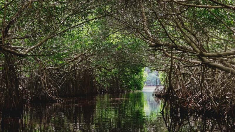 From Merida to Celestún: Biosphere, Flamingos & Beach Escape - Final Thoughts