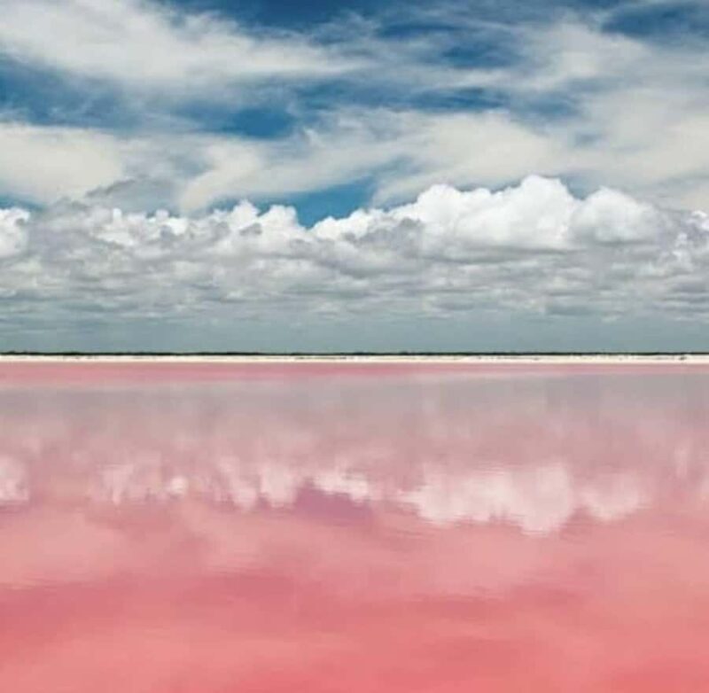From Merida: Tour to Las Coloradas with Lunch & boat - A Complete Look at the Tour