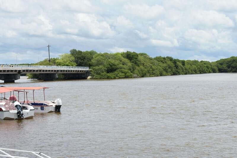 From Merida: Transfer to Celestun and Sisal - FAQs