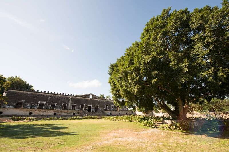 From Merida: Uxmal, Hacienda Yaxcopoil and Cenote with Lunch - The Sum Up