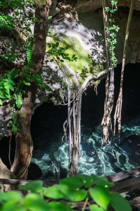 From Mérida:Explore 4 Rural Cenotes with a Traditional lunch - Our Take: Who Should Consider This Tour?