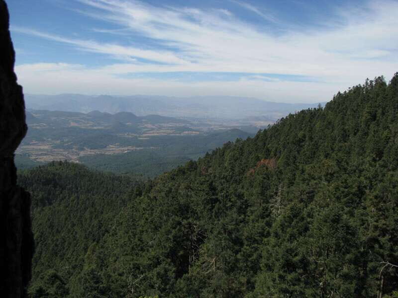 From Mexico City: 7-Day Monarch Butterfly Tour - Authentic Experiences and Practical Details