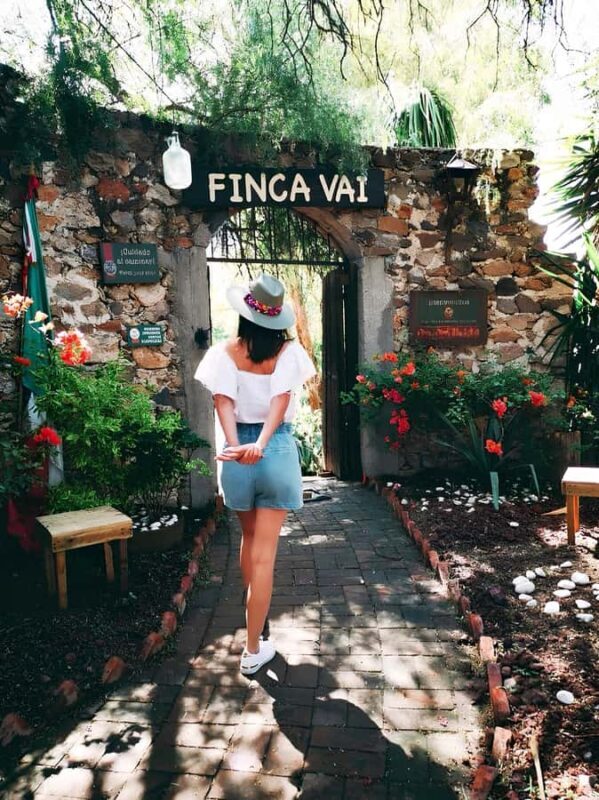 From Mexico City: Wine, Cheese, and Art Culinary Tour in Queretaro - Key Points