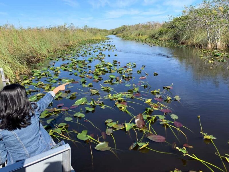 From Miami: Everglades Airboat Gator Spotting Tour - Transportation and Timing