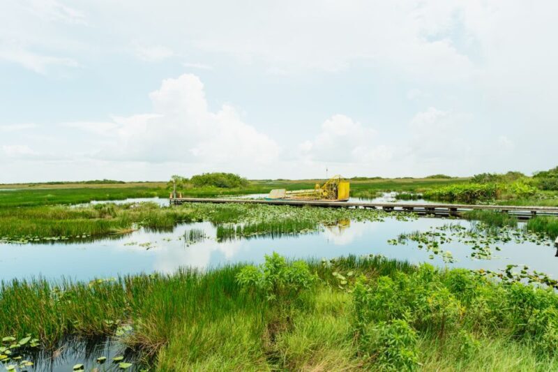 From Miami: Everglades Airboat Ride and Nature Walk - Key Points
