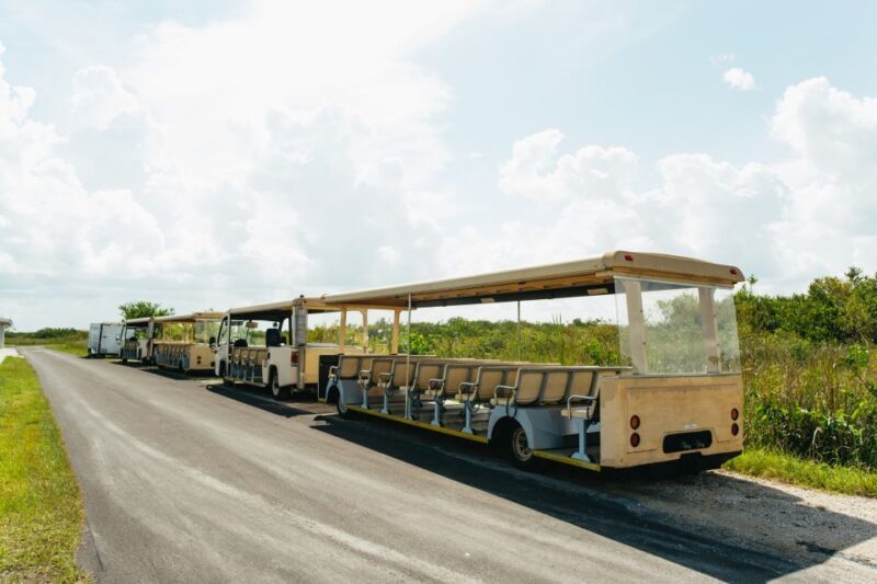 From Miami: Everglades Airboat Ride and Nature Walk - Exploring the Tour in Detail