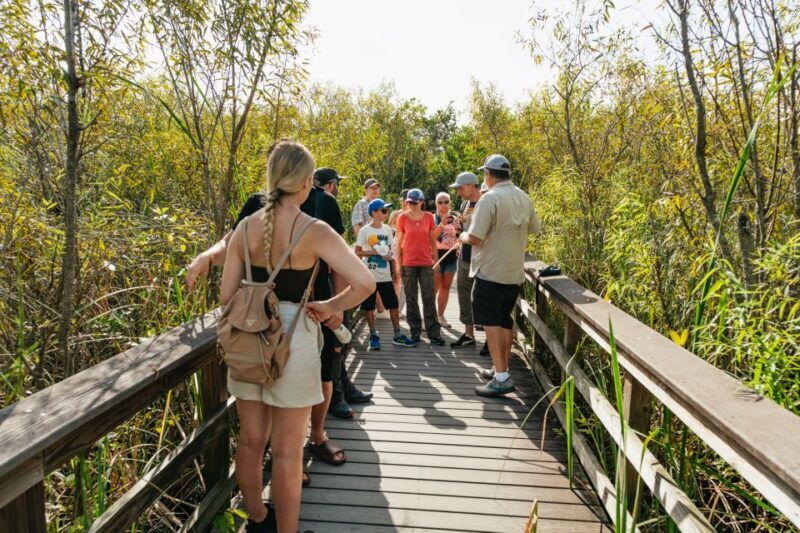 From Miami: Everglades Airboat Ride and Nature Walk - The Sum Up