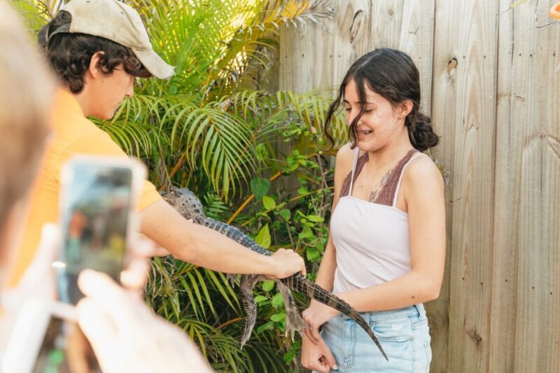 From Miami: Everglades Airboat, Wildlife Show & Bus Transfer - Key Points