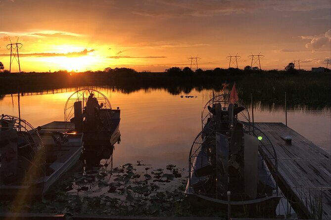 From Miami: Everglades at Night with Airboat and Alligators Tour - Exploring the Everglades at Night: What You Can Expect