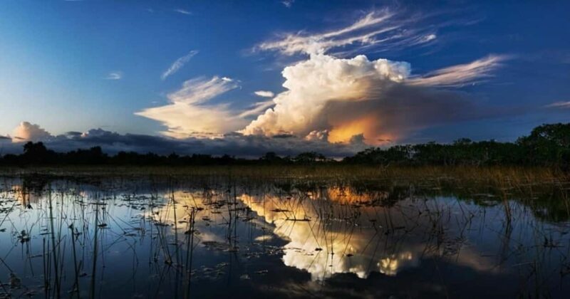 From Miami: Everglades at Night with Guided Airboat Tour - What Travelers Say