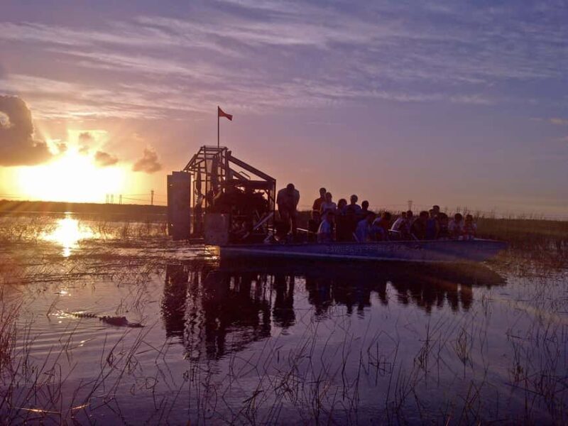 From Miami: Everglades at Night with Guided Airboat Tour - The Practical Side: Who and When