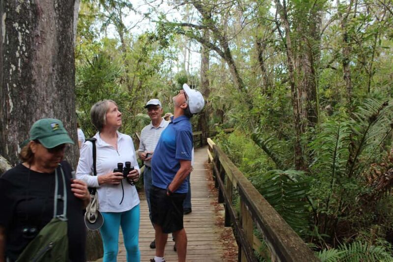 From Miami: Everglades Tour w/90 minute boat trip & 3 Hikes! - Key Points