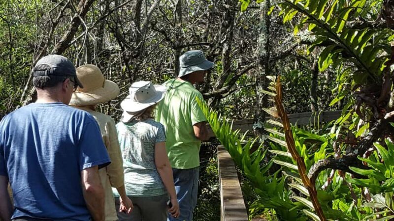 From Miami: Everglades Tour w/90 minute boat trip & 3 Hikes! - In-Depth Look at the Tour Experience