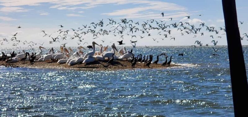 From Miami: Everglades Tour w/90 minute boat trip & 3 Hikes! - Practical Tips for Participants