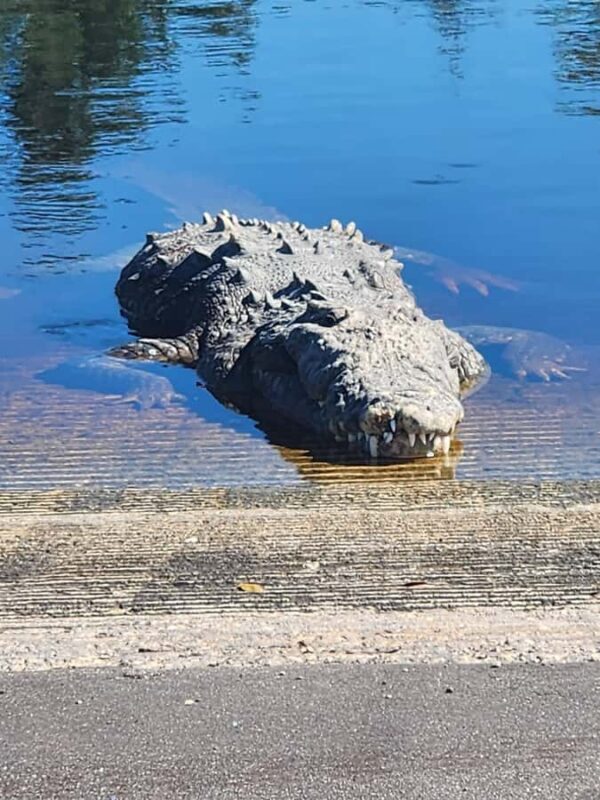 From Miami: Everglades Tour w/90 minute boat trip & 3 Hikes! - Final Verdict: Who Should Consider This Tour?
