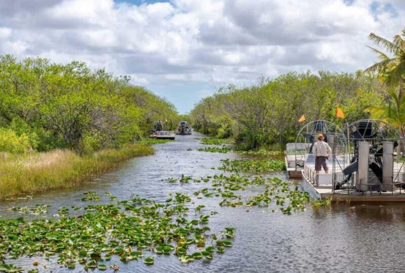 From Miami: Everglades Wildlife Show, Airboat & Bus Transfer - Frequently Asked Questions