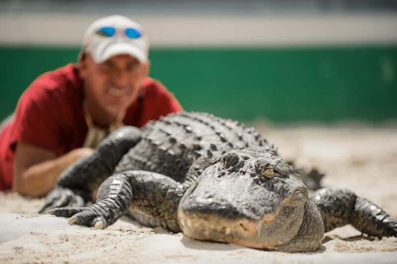 From Miami: Everglades, Wildlife Show, & Hop-on Hop-off Tour - FAQs