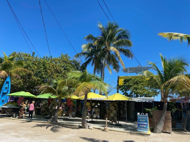From Miami: Key Largo & Islamorada Private Open-Top Bus Tour - Final Thoughts