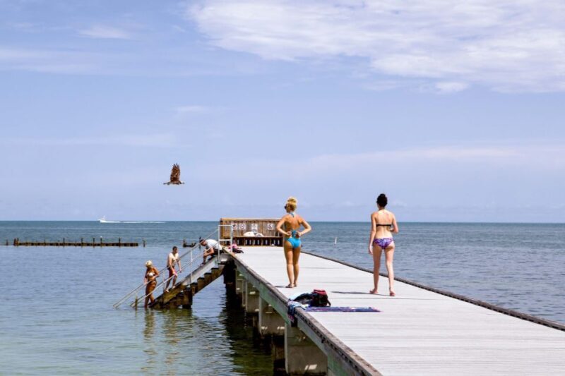 From Miami: Key West Day Tour by Motor Coach Bus - Practical Tips for Your Trip