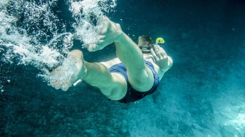 From Miami: Key West Day Trip with Narration - Final Thoughts: Should You Book This?