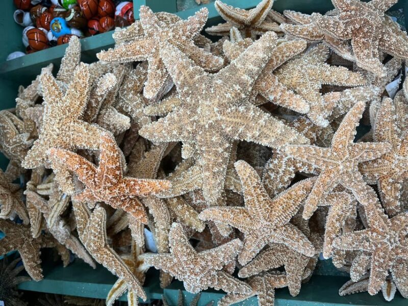 From Miami: Key West Day Trip with Narration - Frequently Asked Questions