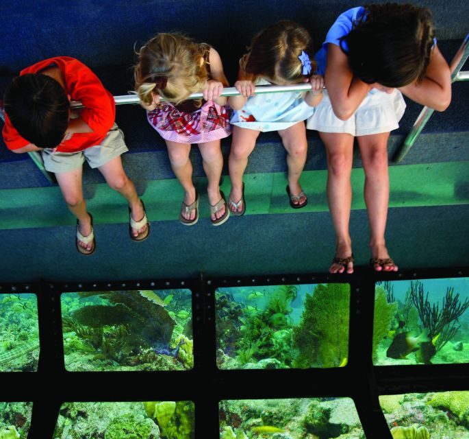 From Miami: Key West with Dolphin Watch or Snorkel Boat - Authentic Insights from Travelers