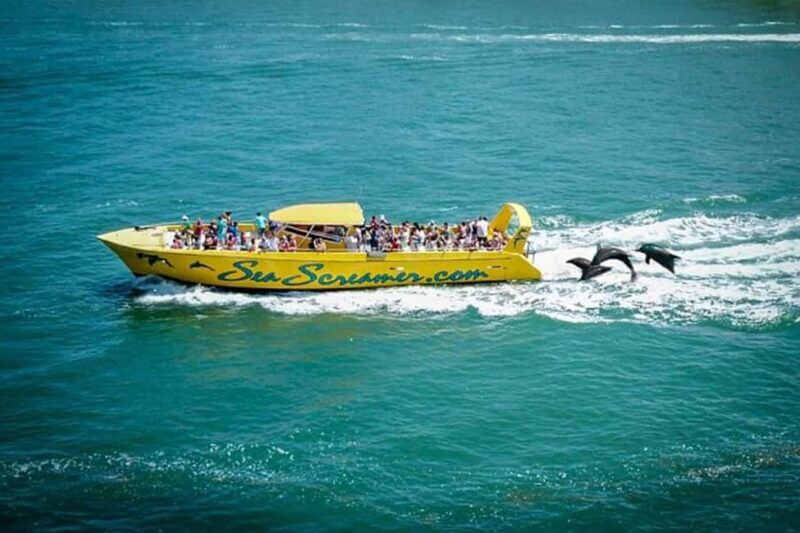 From Miami: Small-Group 8-Day Tour to Key West and Orlando - Relaxing Beaches and Dolphin Watching