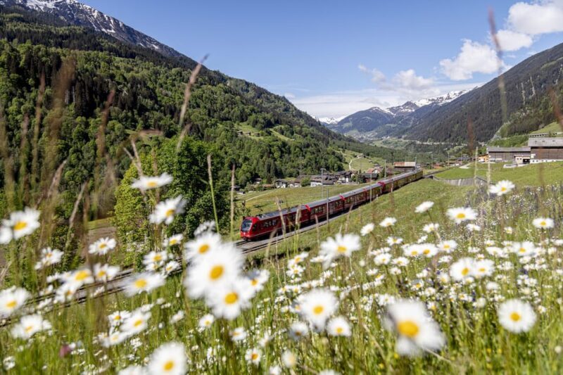 From Milan: Bernina Red Train to St Moritz Guided Tour - An In-Depth Look at the Tour Experience