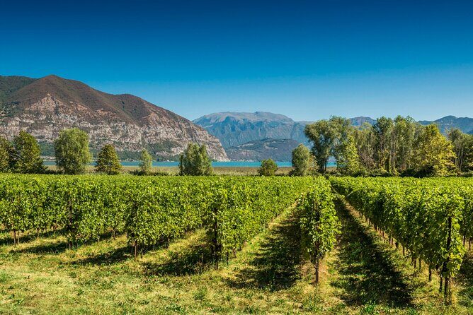 From Milan Full Day in Franciacorta 2 Wineries and Lunch - Key Points