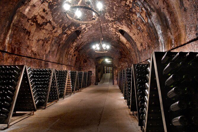 From Milan Full Day in Franciacorta 2 Wineries and Lunch - First Stop: A Renowned Franciacorta Winery