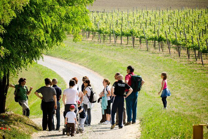 From Milan Full Day in Franciacorta 2 Wineries and Lunch - Who Will Enjoy This Tour?