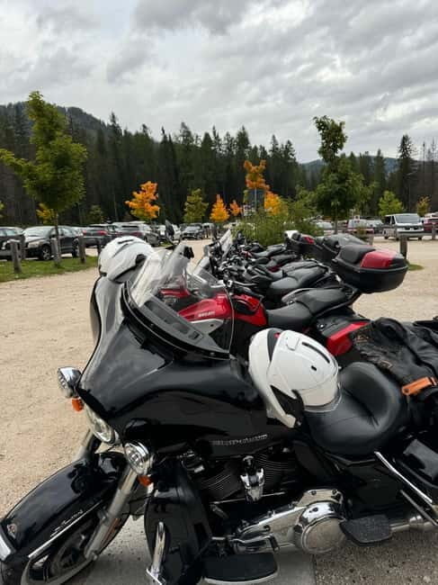 From Milan: Harley Davidson motorcycle tour in 5 countries unique experience! - Key Points