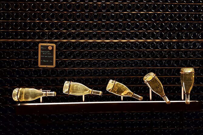 From Milan: Lake Iseo, Bergamo & Franciacorta Wine Tour - Value for Money & Practical Considerations