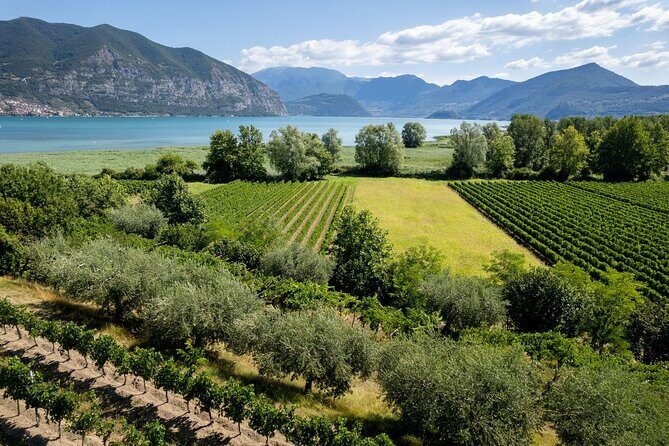 From Milan: Lake Iseo, Bergamo & Franciacorta Wine Tour - Frequently Asked Questions