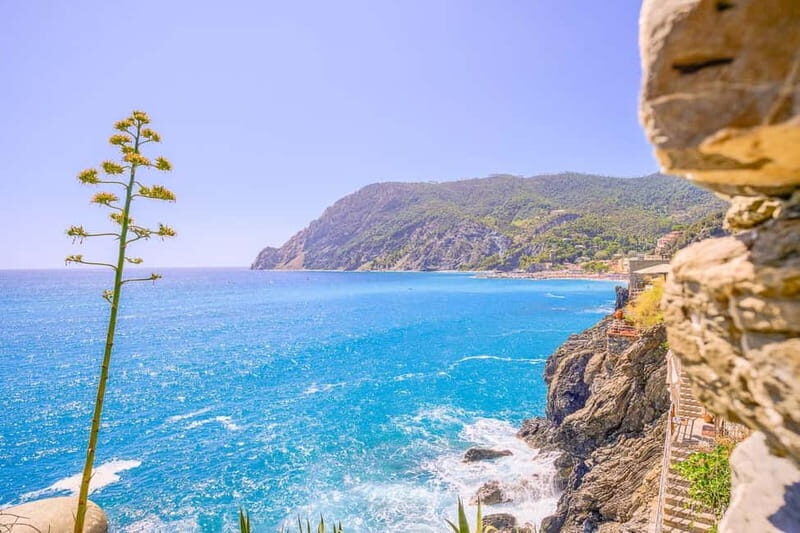 From Milan:Cinque Terre National Park with Limoncino Tasting - Who Should Sign Up?