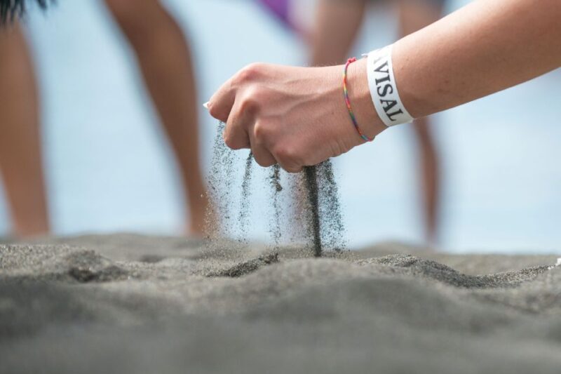 From Milazzo: Lipari and Vulcano Day Trip - Final Thoughts: Is This Tour Right for You?