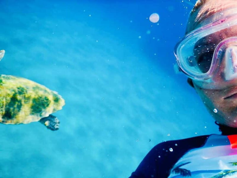 From Milopotas: Ios Island Scenic Snorkeling Cruise - Who Will Love This Tour?