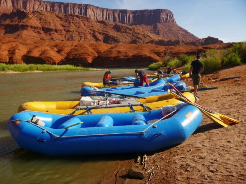 From Moab: Colorado River Guided Rafting Trip - Key Points