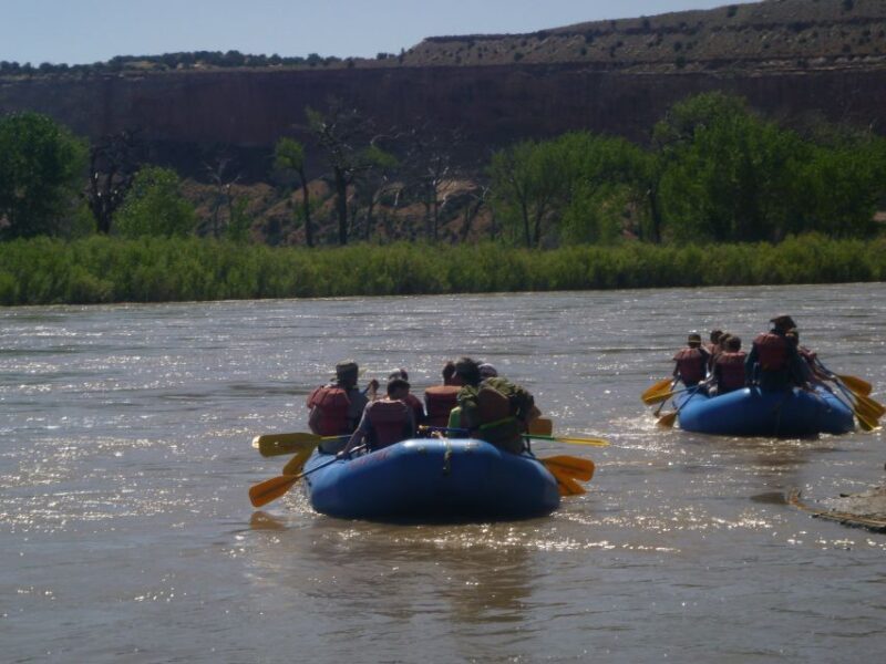 From Moab: Colorado River Guided Rafting Trip - Value for Money: More Than Just a Flotation