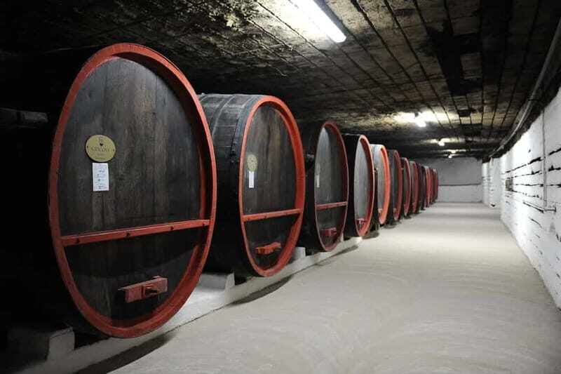 From Moldova: Tour to Cricova Winery with wine tasting - Who Would Love This Tour?