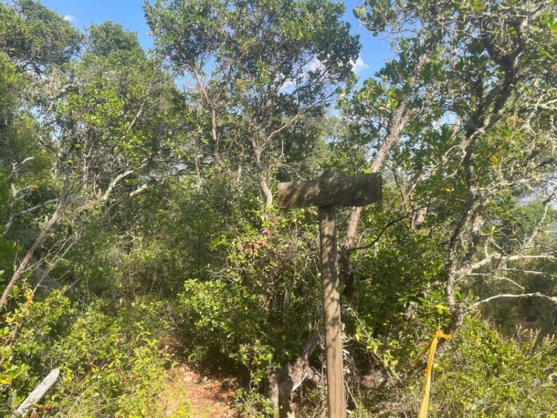From Montemor or Évora: Guided Hike to Almendres Megalithic - Key Points