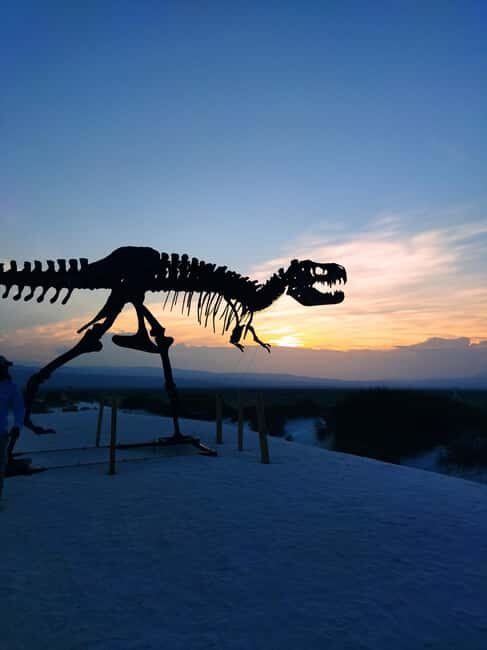 From Monterrey: Tour a Cuatro Ciénegas one day tour - Practical Tips