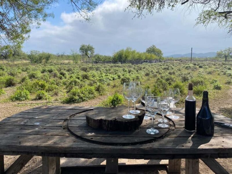 From Monterrey: Tour of the Magical Town of Higueras - Exploring Higueras: A Deep Dive