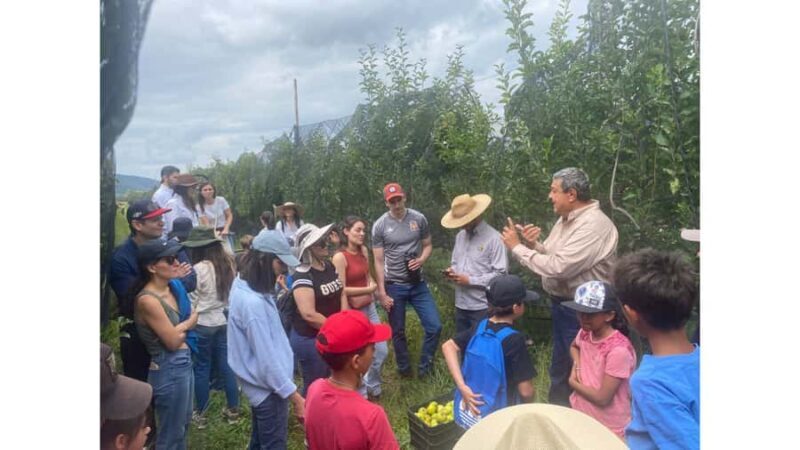 From Monterrey: Visits to the Organic Gardens - An In-Depth Look at the Organic Gardens Tour
