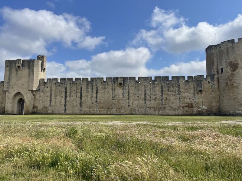 From Montpellier: Camargue and Salt Marshes Guided Tour - Final Thoughts: Is It Worth It?