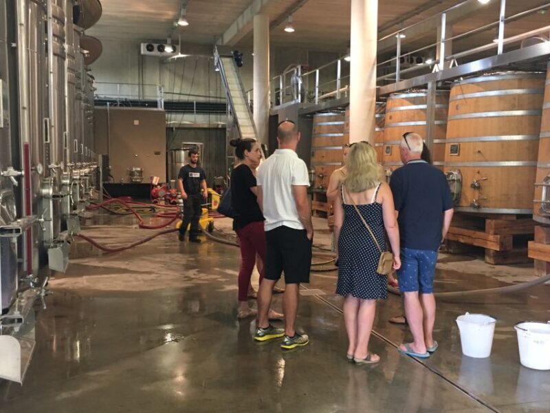 From Montpellier: Half-Day Vineyard & Pic Saint-Loup Tour - A Deep Dive into the Experience