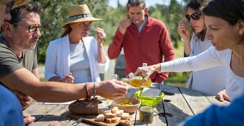 From Montpellier: Wine and Olive Tour - What the Reviews Tell Us