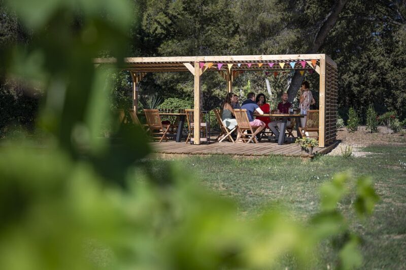 From Montpellier: Winery Tour in a Vintage Citroën 2CV - A charming wine adventure in the South of France with a vintage twist