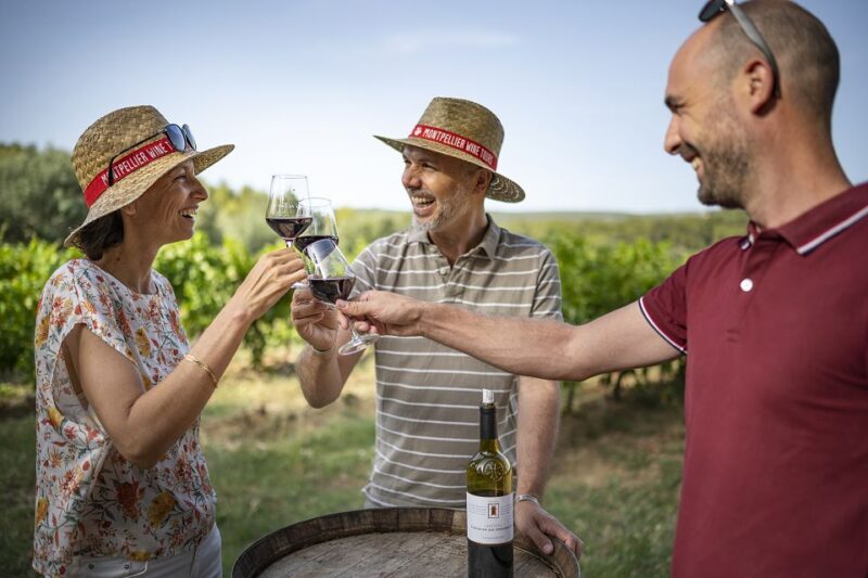 From Montpellier: Winery Tour in a Vintage Citroën 2CV - The Sum Up: is this experience worth it?