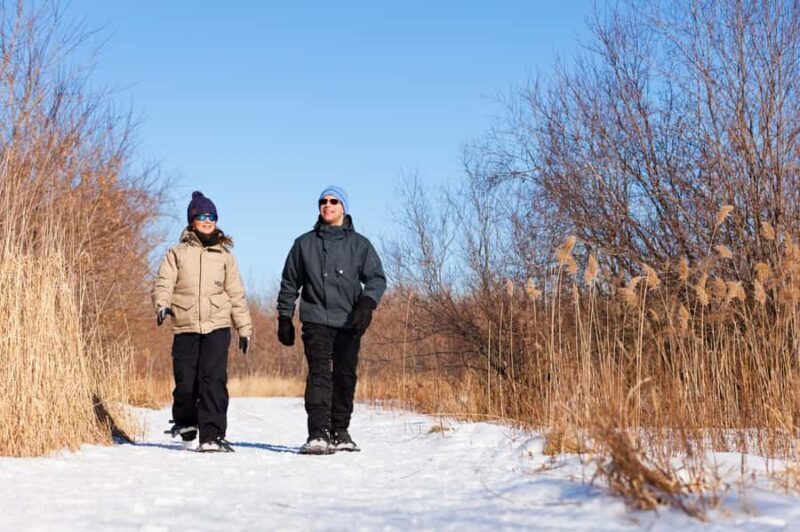 From Montreal: Mont-Saint-Bruno National Park Snowshoe Hike - Key Points